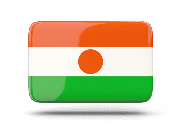 Niger flag